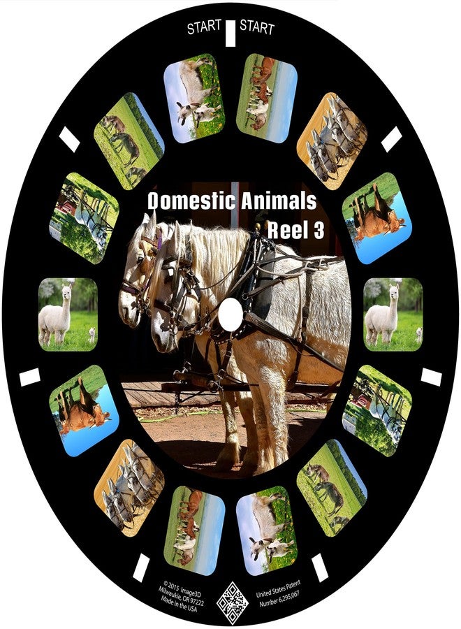 MayKo Farm Animal Reels for Viewfinder, Domestic Animals, Compatible with Viewmaster Classic Viewers. Set of 3 (Reels Only) - Image 4